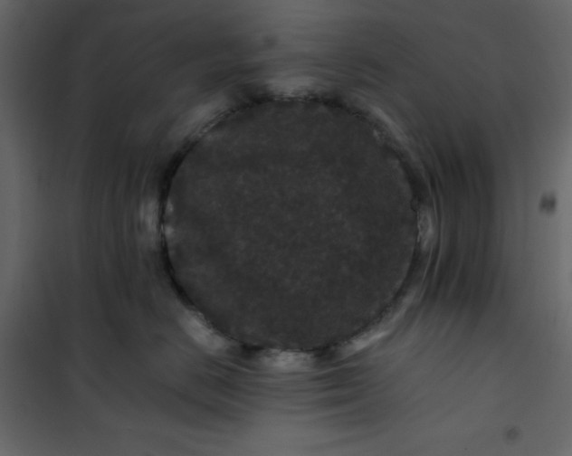 X0000101100670200807171913