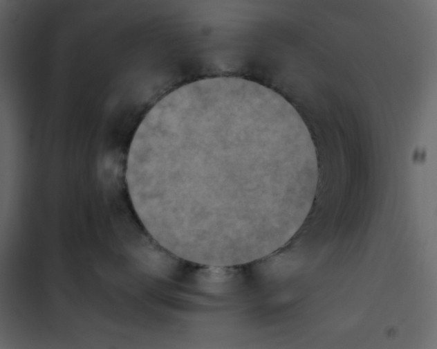 X0000101100672200807171913