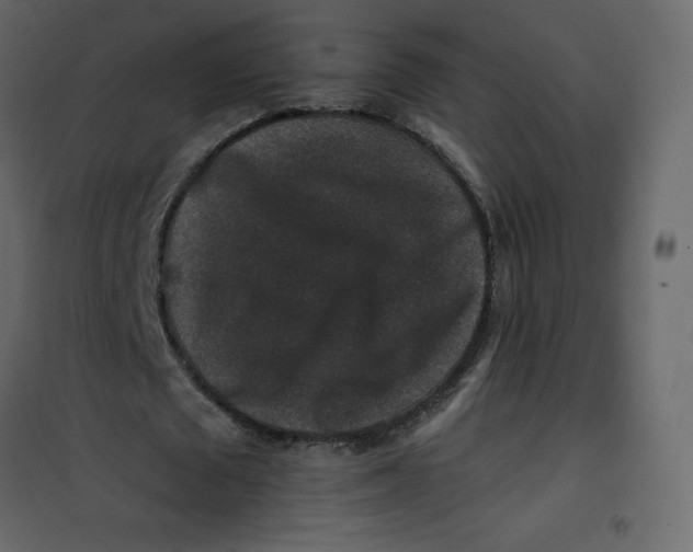 X0000101100673200807171912