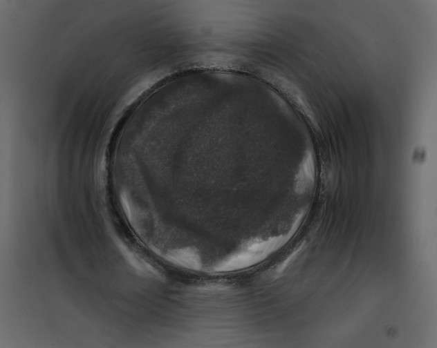 X0000101100674200807171912