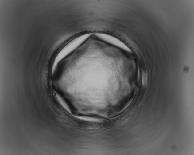 X0000101100675200807171912