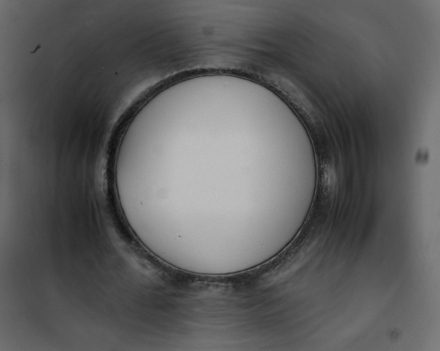 X0000101100676200807171912