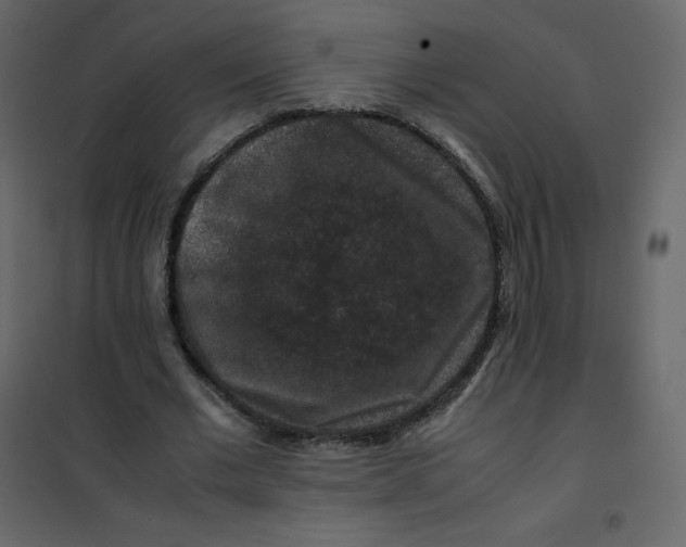 X0000101100677200807171912