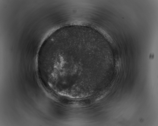 X0000101100678200807171912