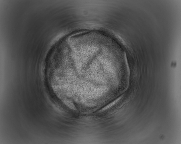 X0000101100679200807171912