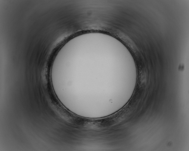 X0000101100680200807171912