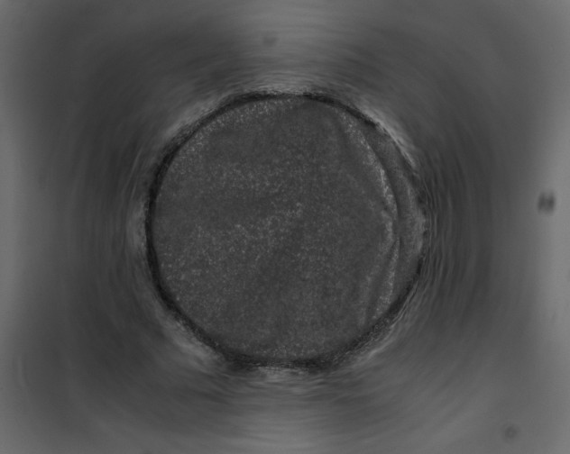 X0000101100681200807171912