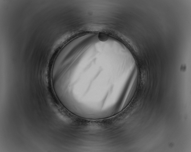 X0000101100682200807171912