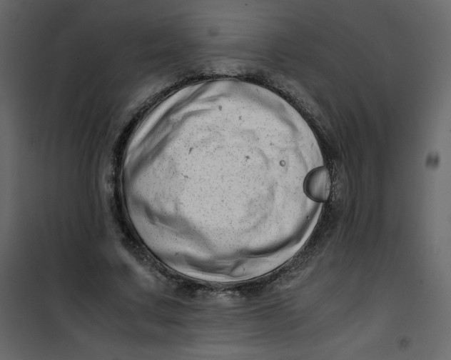 X0000101100683200807171912