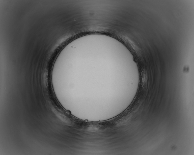 X0000101100684200807171912