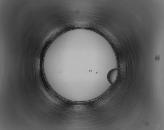 X0000101100686200807171912