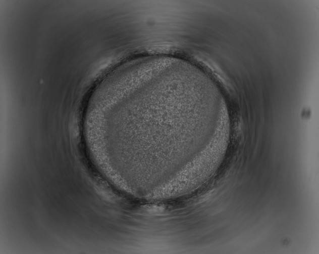 X0000101100687200807171912