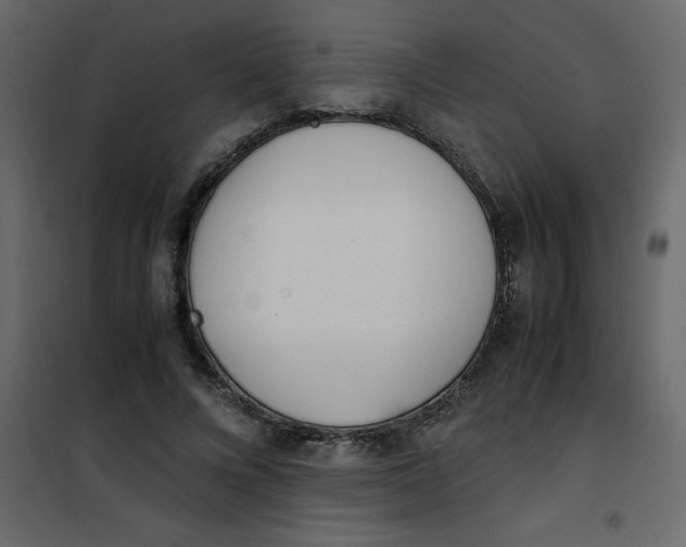 X0000101100688200807171912