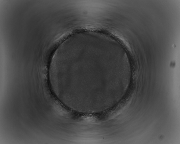 X0000101100689200807171912