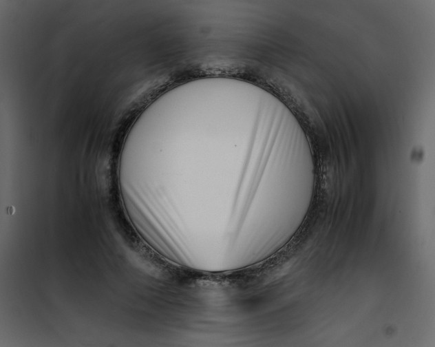 X0000101100690200807171912