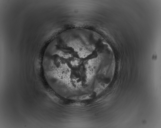 X0000101100691200807171912