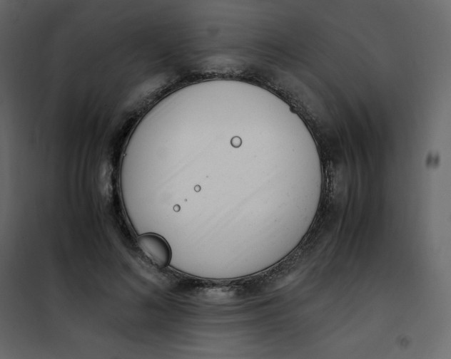 X0000101100692200807171912