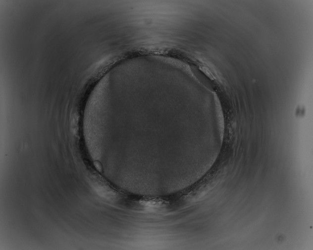 X0000101100693200807171912