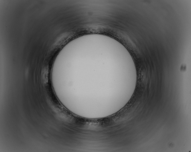 X0000101100694200807171912