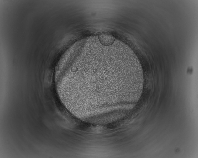 X0000101100695200807171912