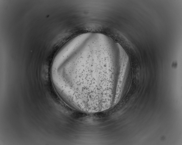 X0000101100696200807171912