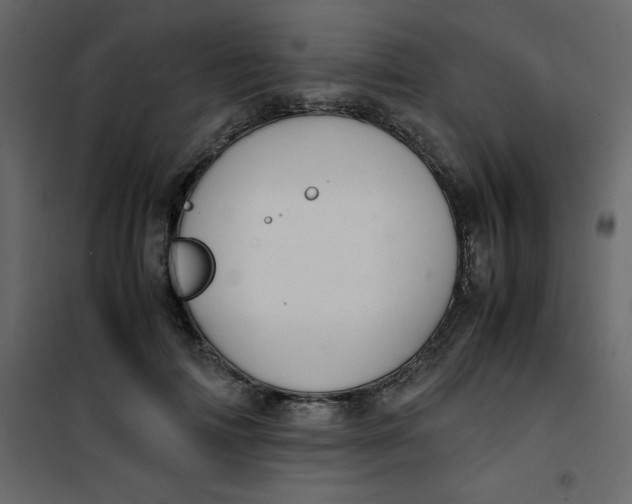 X0000101100698200807171912