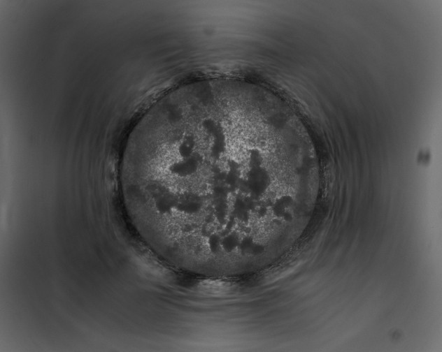 X0000101100699200807171912