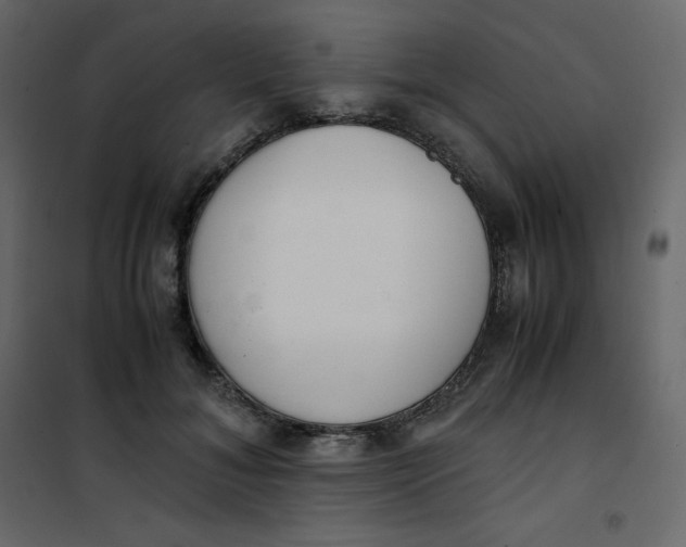 X0000101100700200807171912