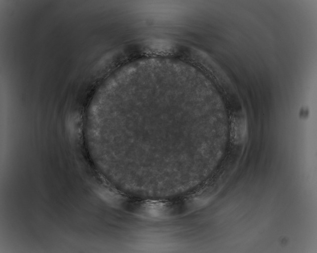 X0000101100701200807171912