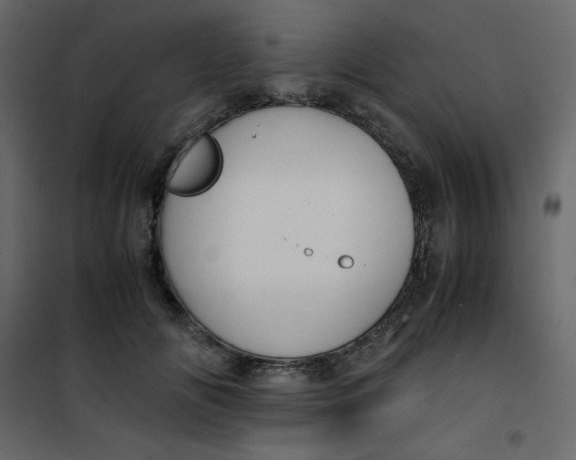 X0000101100702200807171912