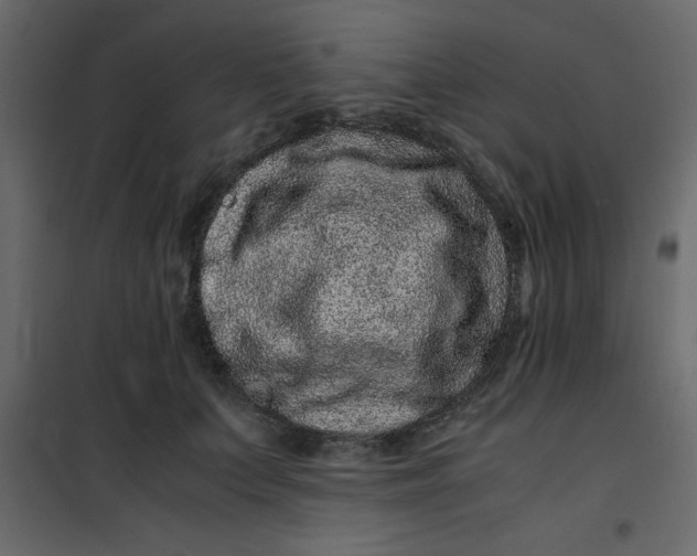 X0000101100703200807171912