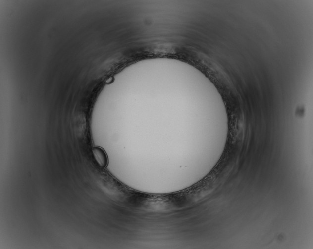 X0000101100704200807171912