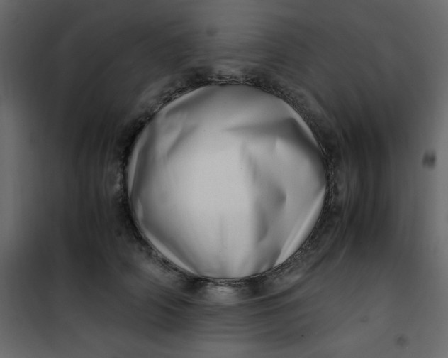 X0000101100706200807171912