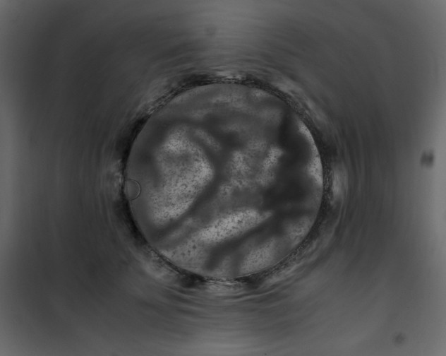 X0000101100707200807171912