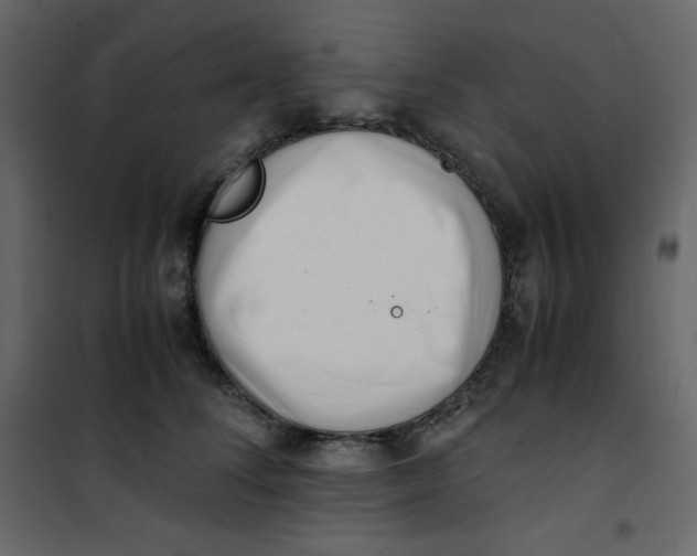 X0000101100708200807171912