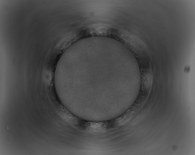 X0000101100709200807171912