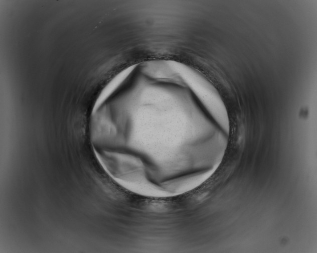 X0000101100710200807171912