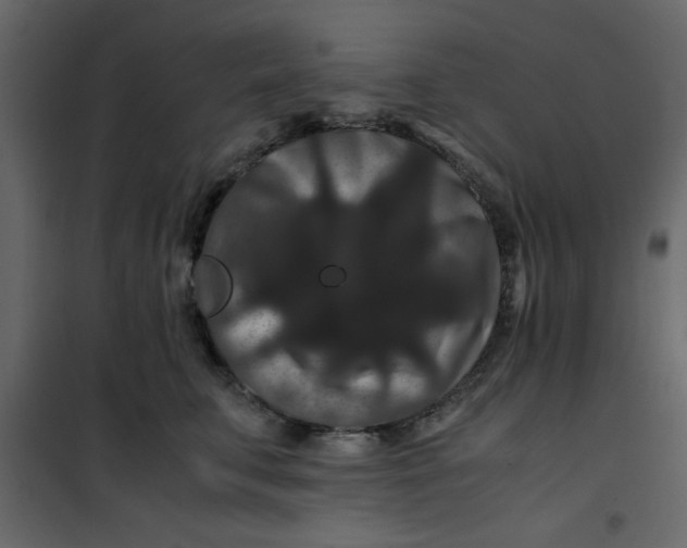 X0000101100711200807171912