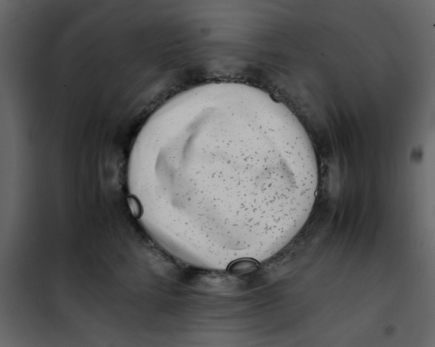 X0000101100712200807171912