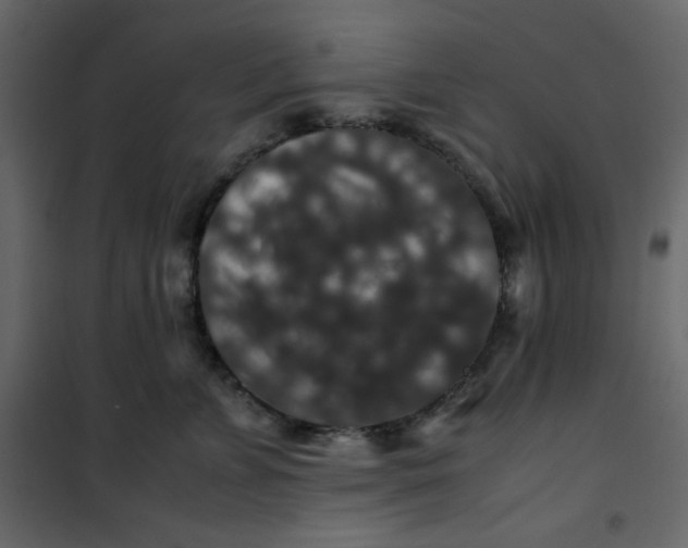 X0000101100715200807171912