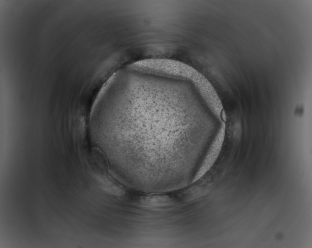 X0000101100716200807171912