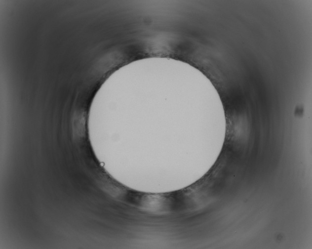 X0000101100717200807171912