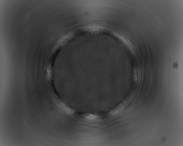 X0000101100718200807171912