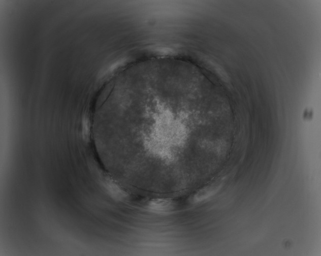 X0000101100720200807171912