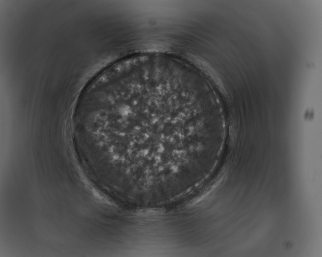 X0000101100721200807171911