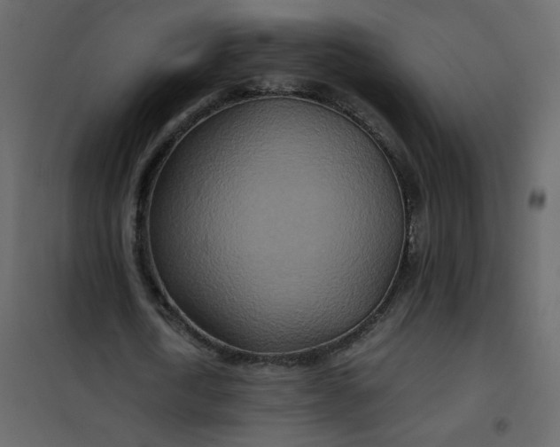 X0000101100722200807171911