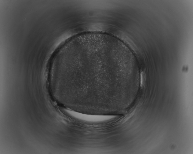 X0000101100723200807171911