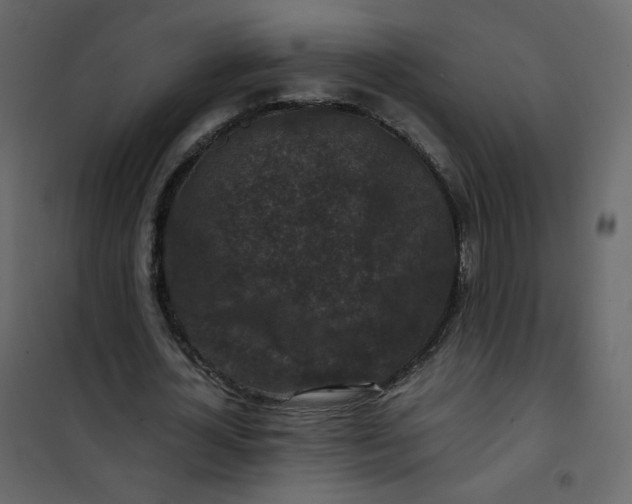 X0000101100724200807171911