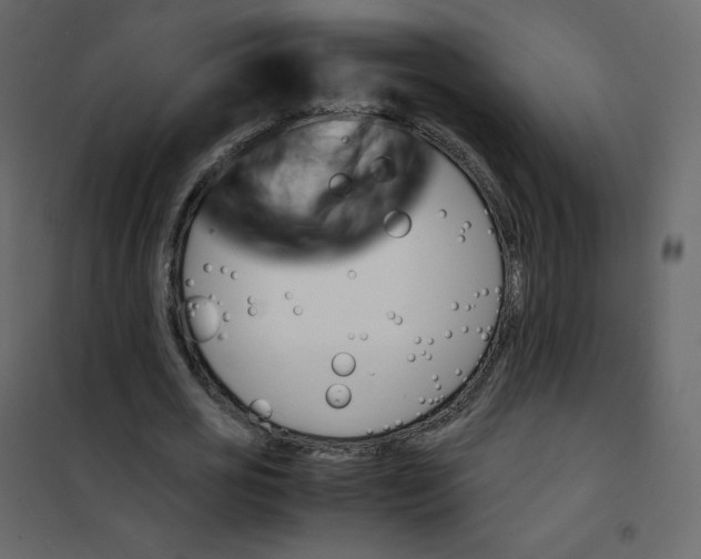 X0000101100725200807171911