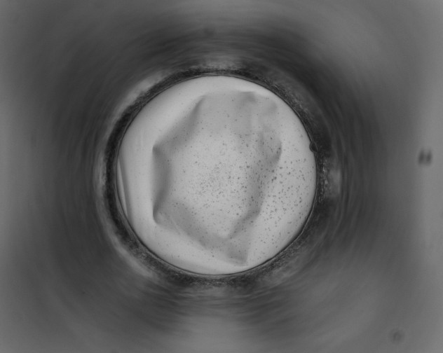 X0000101100726200807171911